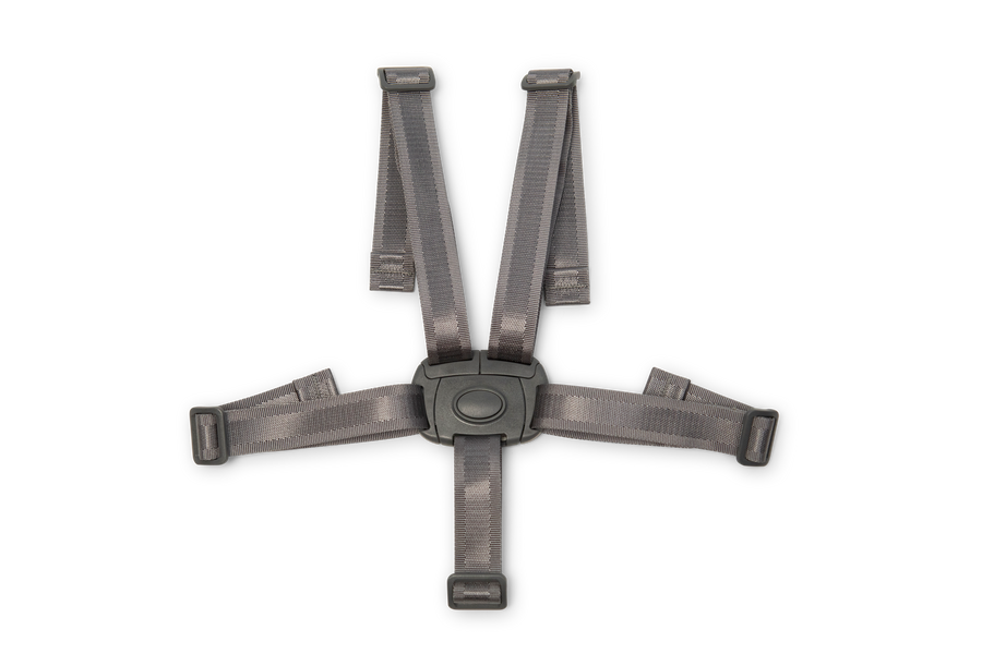 5 point harness high chair cheap